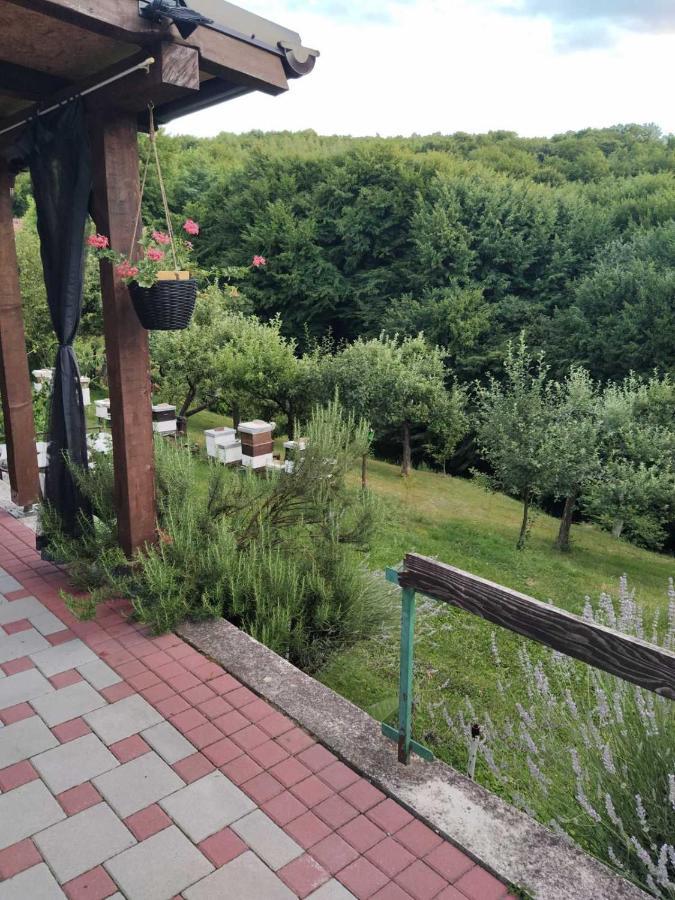 Guest House Bee Visoko Extérieur photo