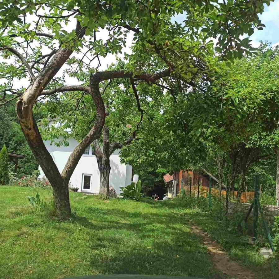 Guest House Bee Visoko Extérieur photo