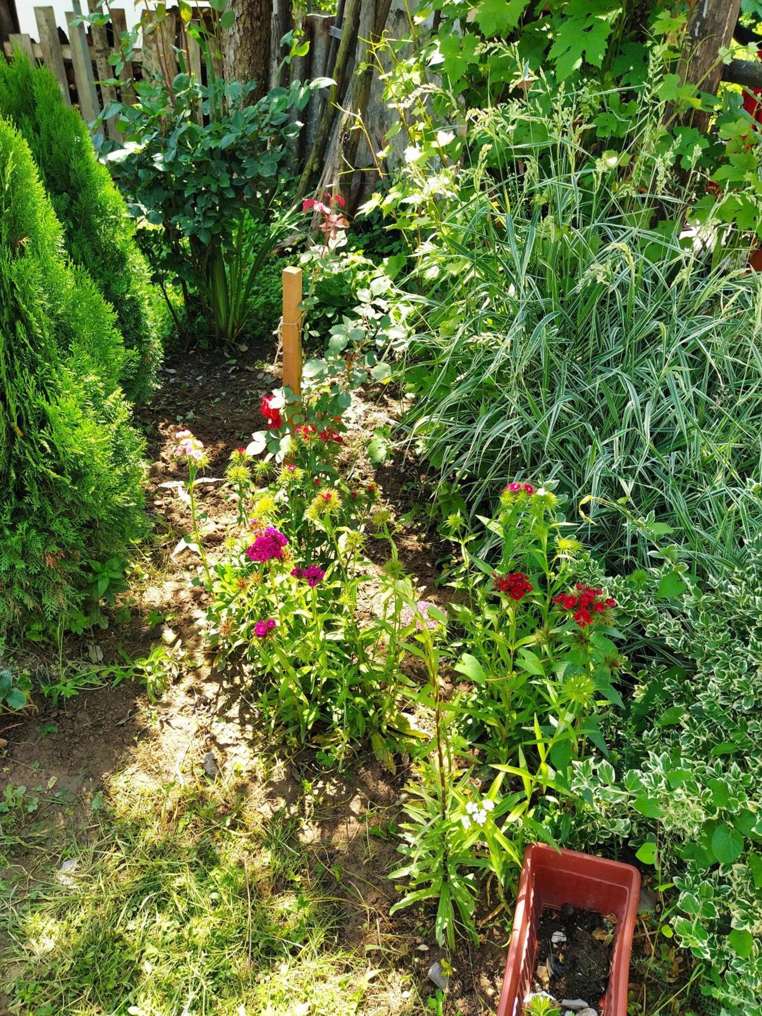 Guest House Bee Visoko Extérieur photo